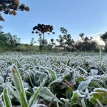 Confirmada! Primeira onda de frio chega ao Paraná semana que vem com termômetros perto de 0ºC