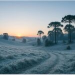 Simepar alerta que vai esfriar ainda mais nas próximas horas e não descarta neve no Paraná