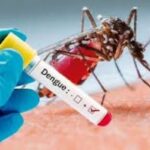 Paraná confirma dez mortes pela dengue e uma por chikungunya em uma semana; confira o boletim